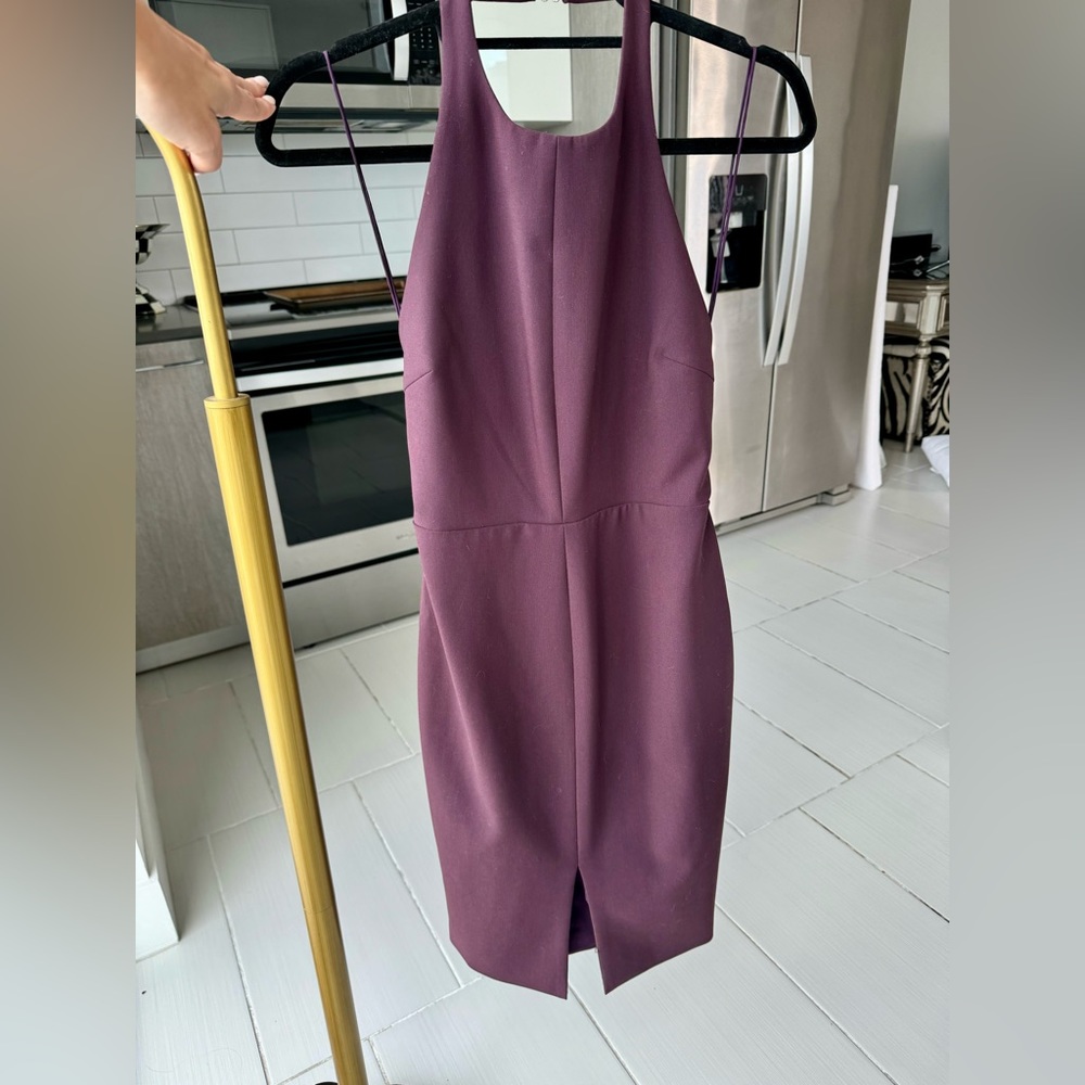 Elizabeth and James Plum bodycon mini dress size 6